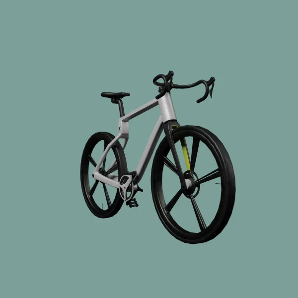 Race Cycle