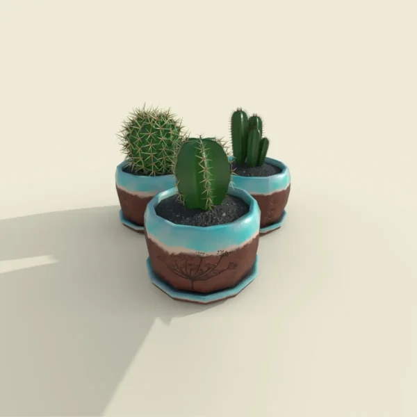 cactus 3pot set