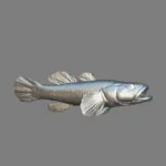 dark sleep fish 3d model