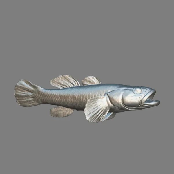dark sleep fish 3d model