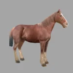 horse animals