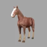 horse animal
