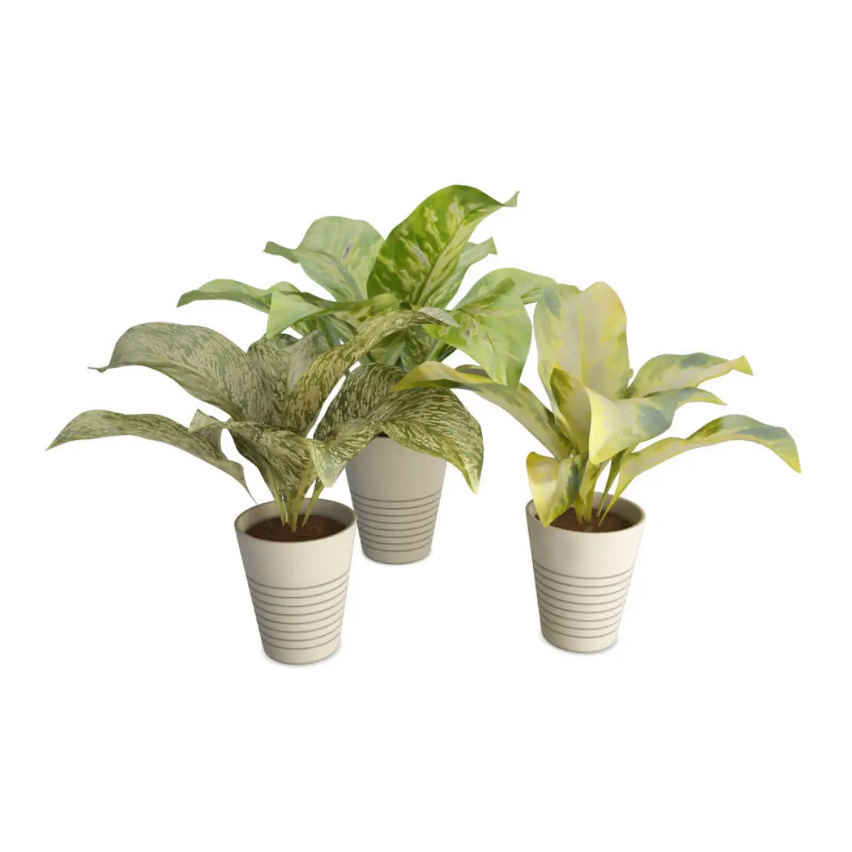 3d model interior plants