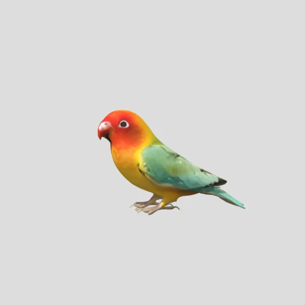 Parrot 3D Model