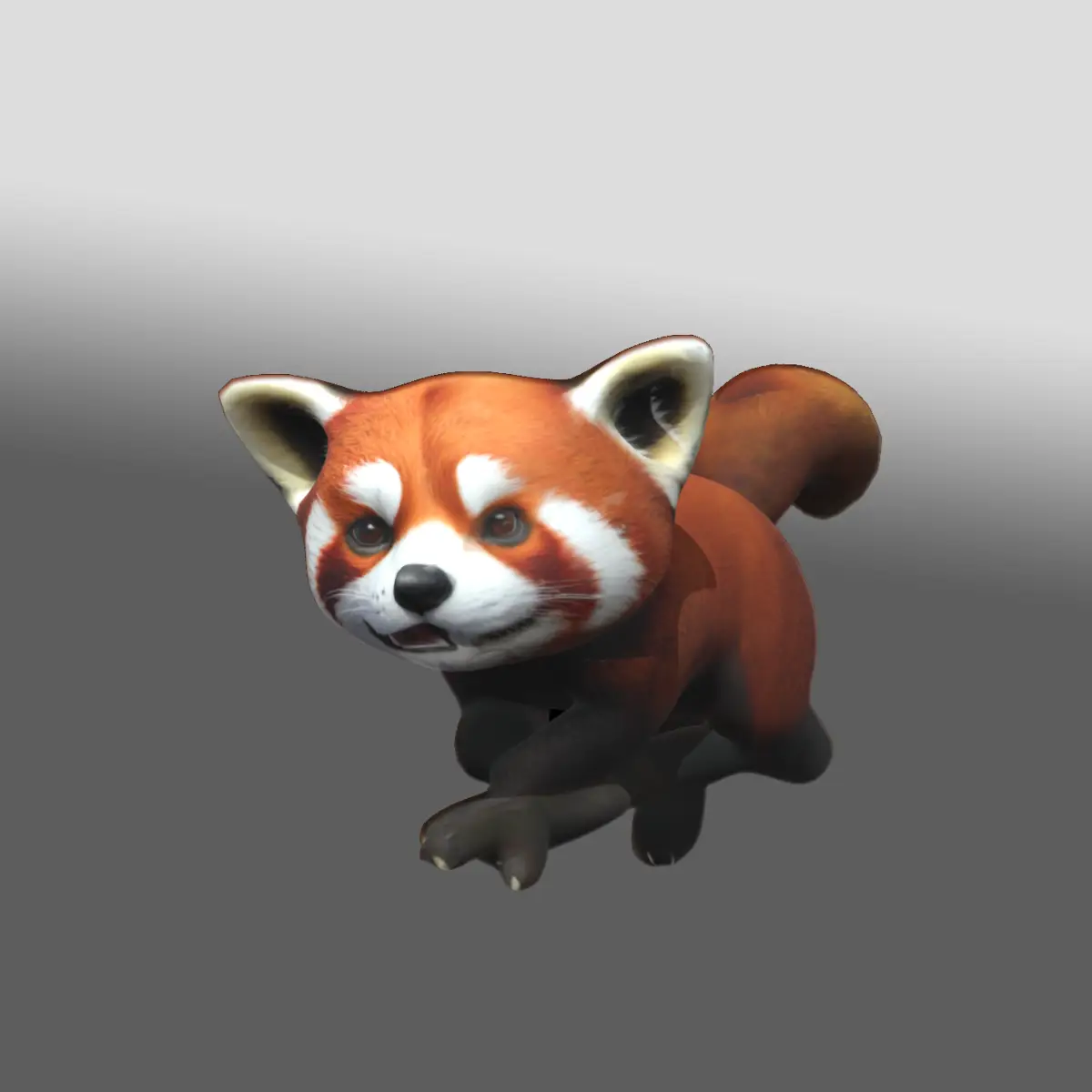 red panda
