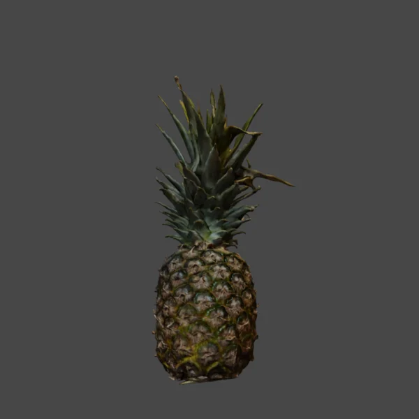 Pineapple 3D Model